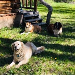 Meet your Posher, Cooper